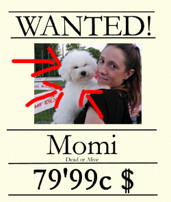 Momi