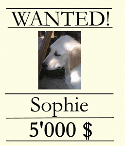 Sophie
